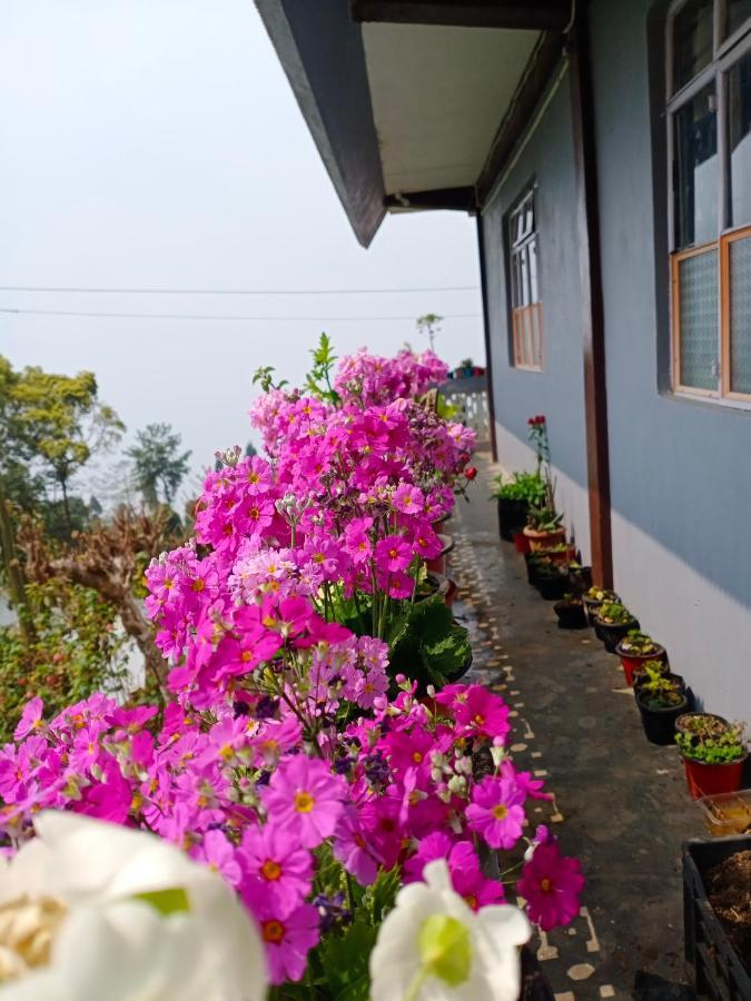 Aakeet Lyang Homestay Kurseong